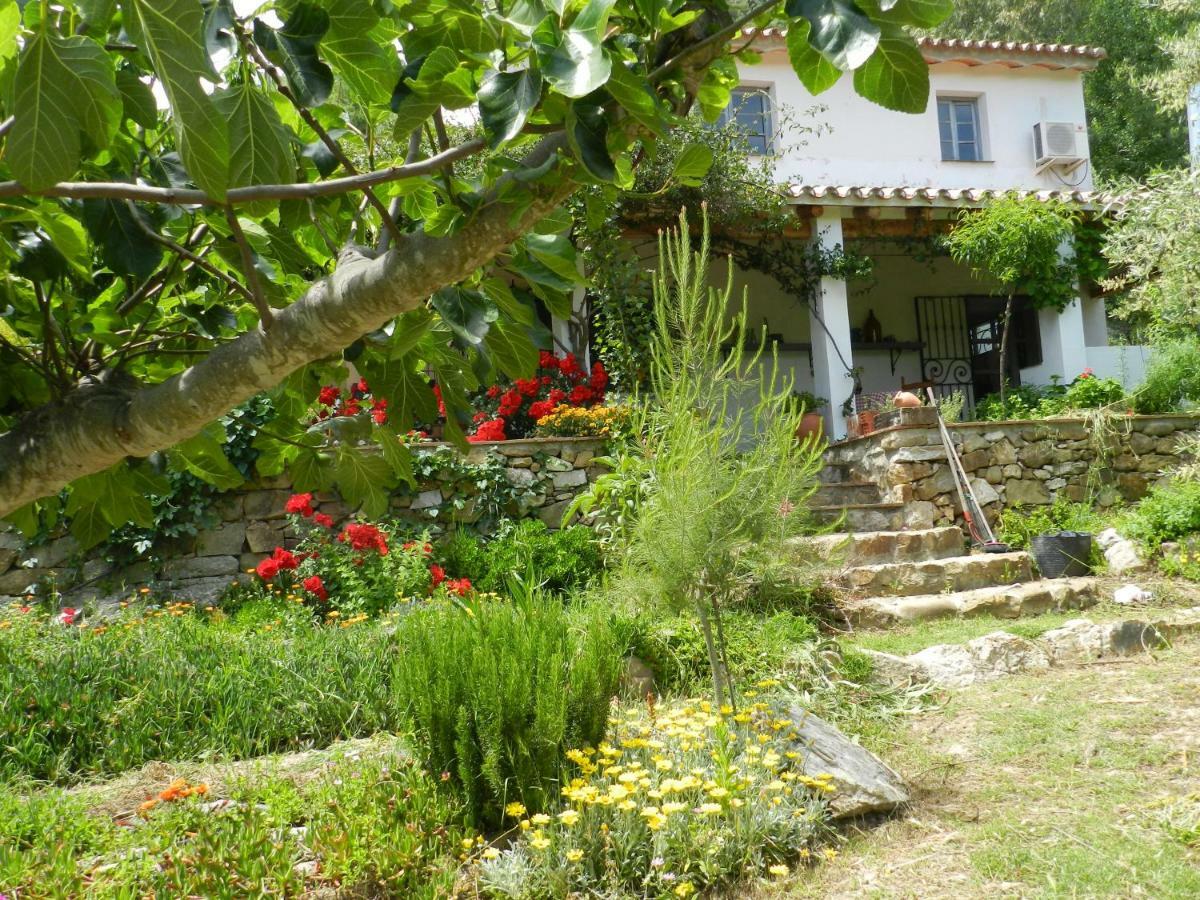 La Fontana Villa Cortes de la Frontera Exterior photo