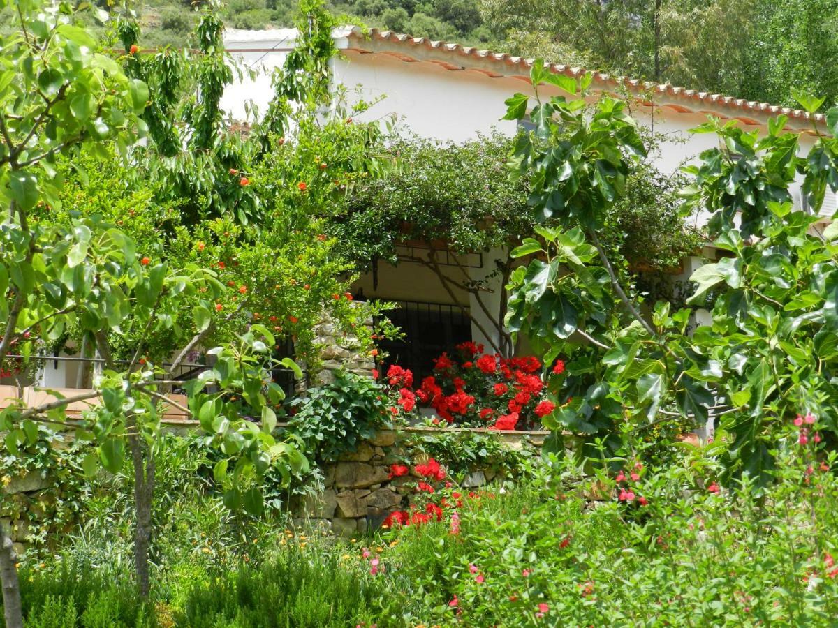La Fontana Villa Cortes de la Frontera Exterior photo